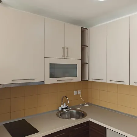 Krstic Apartment Vrnjacka Banja